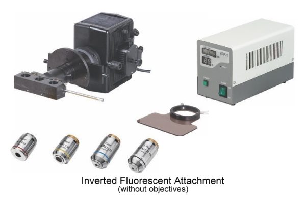 Boeco inverted biological microscope model bib 100 2